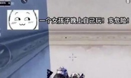 和平精英趣味爆料视频在线观看,揭秘游戏幕后趣闻，在线观看笑翻天！